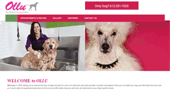 Desktop Screenshot of olludogwash.com