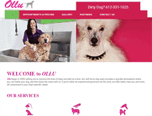 Tablet Screenshot of olludogwash.com